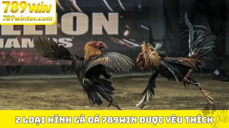 2 loại hình gà đá 789Win được yêu thích
