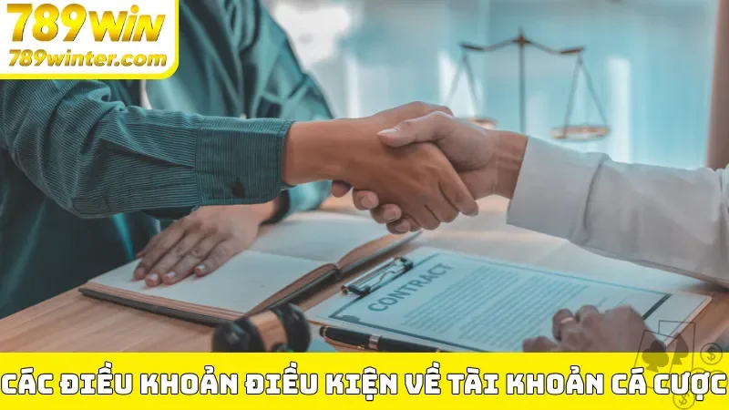 Các điều khoản điều kiện 789Win về tài khoản cá cược