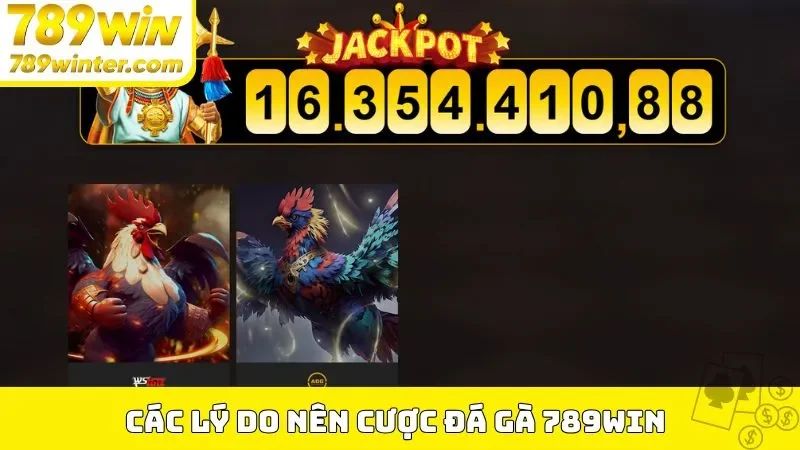 Các lý do nên cược đá gà 789Win 