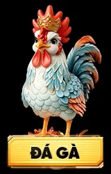 đá gà